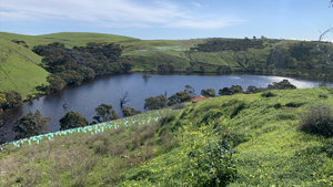 Wirrina Cove reservoir